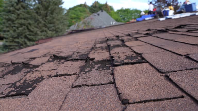 Best Roof Coating and Sealing  in Erie, KS