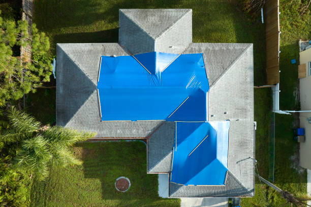 Best Metal Roofing Installation  in Erie, KS