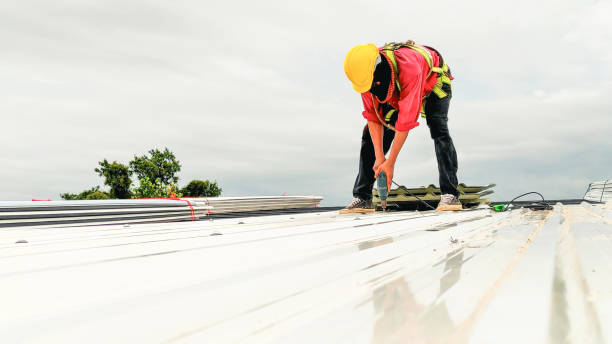 Best Solar Panel Roofing Installation  in Erie, KS